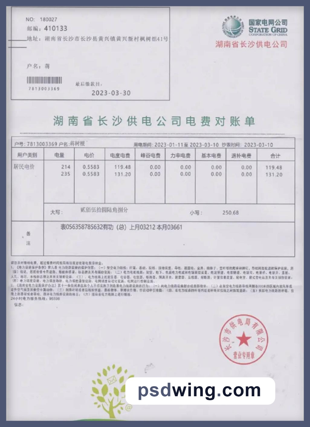China State Power Grid Utility Bill